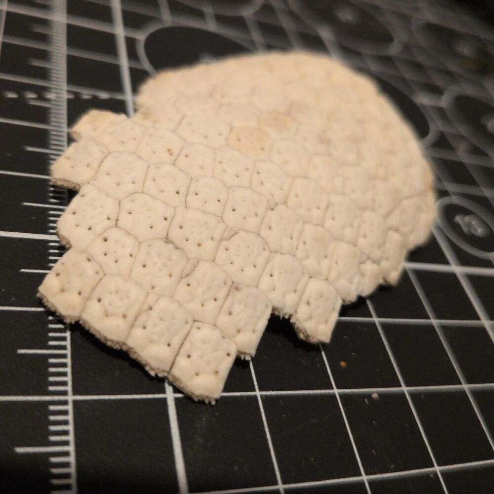 Fossil White and Cream Decor-home-accesories
